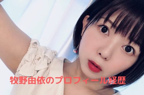 牧野由依 声優 のプロフィールや経歴 写真 加藤純一とは共演ng ズッキーの棲み家