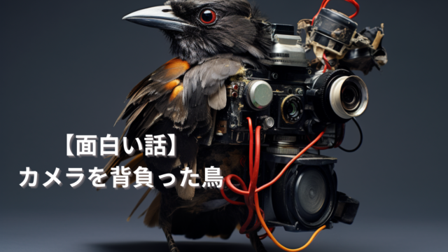 【面白い話】カメラを背負った鳥